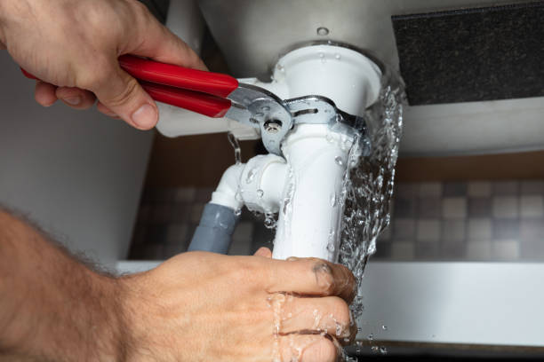 Best Ceiling water damage repair  in Flowery Branch, GA