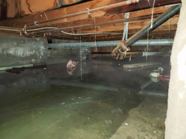Best Residential water damage restoration  in Flowery Branch, GA