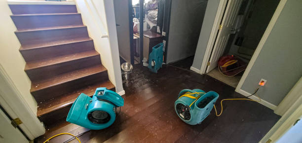 Best Water damage restoration near me  in Flowery Branch, GA