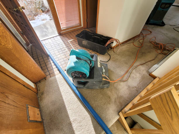 Best Ceiling water damage repair  in Flowery Branch, GA
