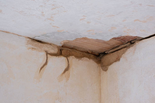 Reliable Flowery Branch, GA Water damage restoration Solutions