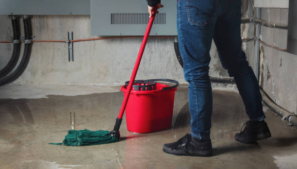 Best 24-hour water damage restoration  in Flowery Branch, GA