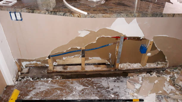 Best 24/7 water damage repair  in Flowery Branch, GA