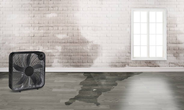 Best Flood restoration services  in Flowery Branch, GA