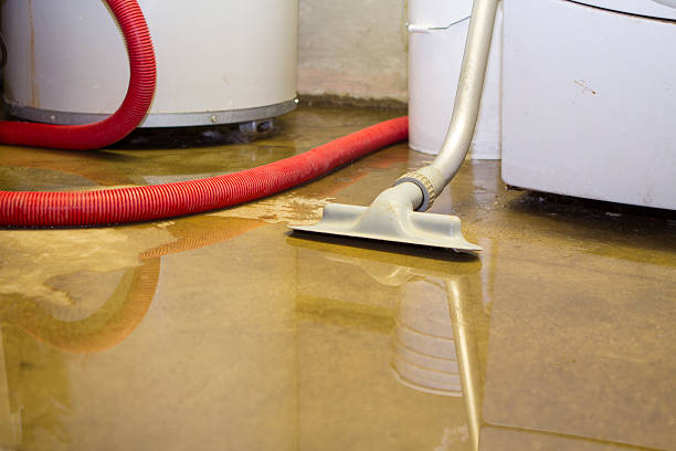 Best Water damage restoration experts  in Flowery Branch, GA