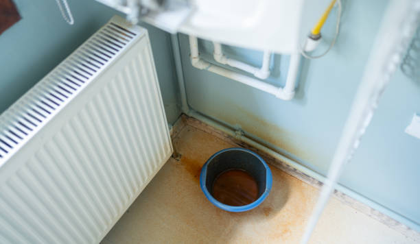 Best Professional water damage repair  in Flowery Branch, GA