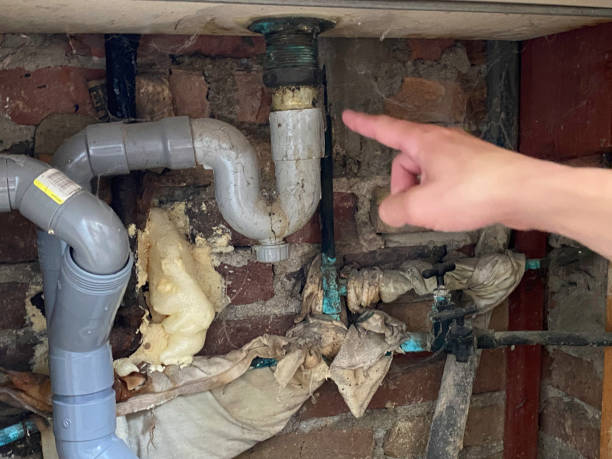 Best Sewage cleanup and water damage restoration  in Flowery Branch, GA