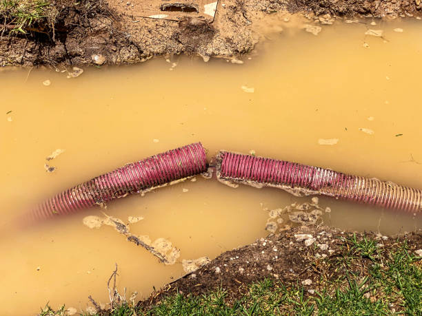  Flowery Branch, GA Water damage restoration Pros